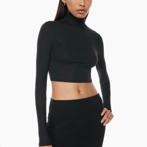 Aritzia Sunday Best Modal Turtleneck